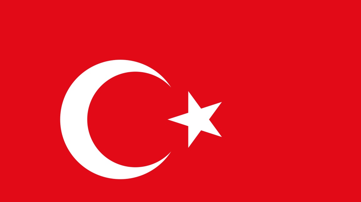 Ana  Sınıfı Öğrencilerinden Türk Bayrağı Sergisi